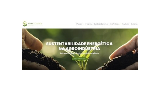 AgroEfficiency  Racionalização do Consumo de Energia - Eletricidade e Gás Natural