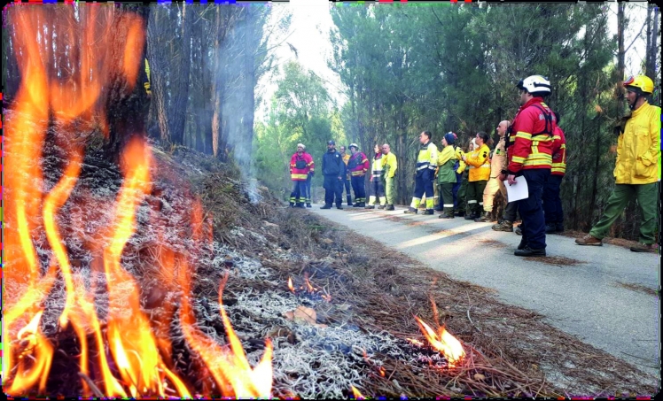 Preparar o Vero, prevenir o Futuro - AMCB inicia Curso de Fogo Controlado